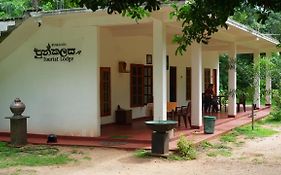 Punkalasa Tourist Lodge